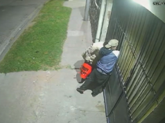 SAN PEDRO : /VIDEO/ Robaron mercaderías de una despensa y quedaron filmados.