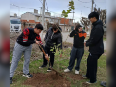 SAN PEDRO : Jóvenes del Programa Envión encabezaron una jornada de forestación en el Playón Depietri.
