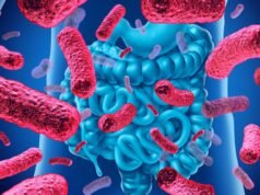 Actualizan la CoNaCRA para combatir la resistencia a antimicrobianos
