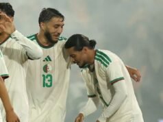 Atención Scaloni: Argelia venció a Países Bajos en la previa del Mundial