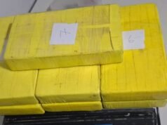 Detenidos con más de siete kilos de cocaína en la autopista Buenos Aires-La Plata