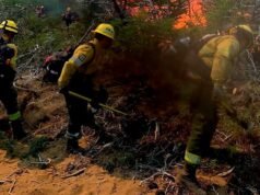 Incendio forestal en Cafayate arrasa con 200 hectáreas