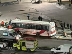 Tragedia en Mar del Plata: un ladrón robó a un joven herido tras un accidente