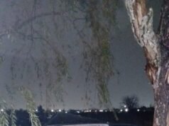 Trágico accidente en la Autopista Buenos Aires–La Plata deja un muerto