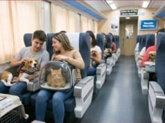 Ya están a la venta los pasajes de tren a Mar del Plata para las vacaciones de invierno