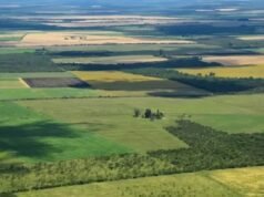 Argentina podría flexibilizar la compra de tierras por extranjeros con el nuevo proyecto de Milei
