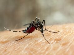 Aumentan los casos de fiebre chikungunya: 51 nuevos contagios