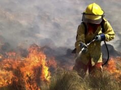 Cafayate: imputan a un hombre por incendios que arrasaron 200 hectáreas