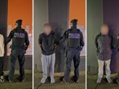 Desarticulan banda de ladrones en Villa Urquiza