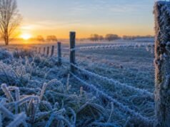 El frío polar azota Argentina: duración y provincias en alerta