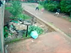 La madre de la niña raptada en Misiones clama justicia tras el horror vivido