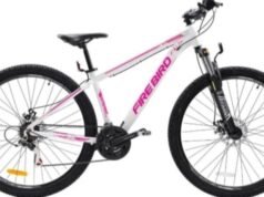 SAN PEDRO : “Si saben algo, por favor avisen”: le robaron la bicicleta a su hermana.