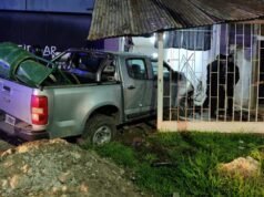 Accidente en La Plata: camioneta chocó una casa y una niña resultó herida