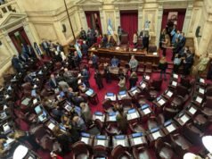 Los gobernadores se oponen a la extranjerización de tierras y frenan el proyecto oficial