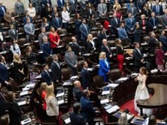 Reforma legislativa en Argentina: el dilema de las nuevas bancas