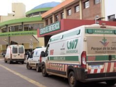 Tragedia en Misiones: un perro ataca y mata a una anciana de 93 años
