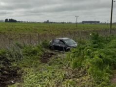 SAN PEDRO : Un sampedrino despistó con su automóvil en el acceso entre Pérez Millán y La Violeta.