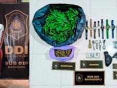 SAN PEDRO : Golpe al delito: desarticulan una banda de encapuchados tras una investigación entre San Pedro, Baradero y Marcos Paz.