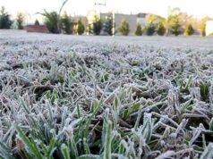 SAN PEDRO : Helada intensa: San Pedro registró una mínima de -2,5°C.