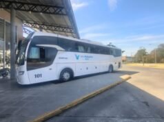 SAN PEDRO : Desde este lunes funciona la línea 228: conectará San Pedro con San Nicolás y Zárate.