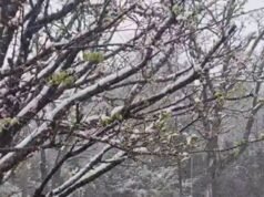 Córdoba se viste de blanco: nevadas en Altas Cumbres y localidades del sur