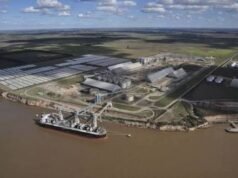 Crecimiento agroexportador en riesgo por estancamiento salarial en puertos privados