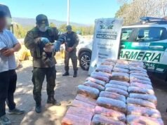 Detenida en Catamarca con drogas ocultas en peluches de capibara