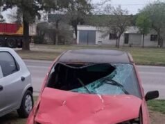 Detenido el conductor que embistió y mató a una adolescente en Córdoba
