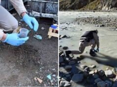 El Chaltén: restricción temporal en centro de residuos por riesgo de contaminación al río Fitz Roy