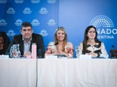 El Senado debate la reforma de Salud Mental y las internaciones involuntarias