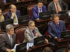 El Senado debate proyectos clave para inversiones y medio ambiente