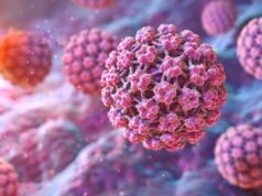 El VPH: un virus que afectará a 8 de cada 10 personas en su vida