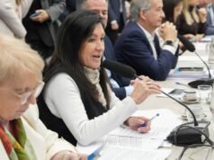 El oficialismo avanza con un nuevo proyecto de discapacidad en Diputados