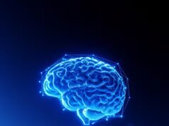 Estimular el cerebro: clave para enfrentar el Alzheimer