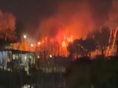 Incendio en el Club Náutico de Olivos: sin heridos pero con daños materiales