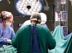 Un hito en la medicina argentina: el primer trasplante de médula ósea cumple 40 años
