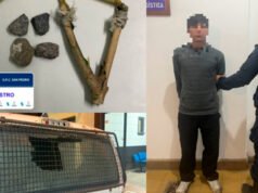 SAN PEDRO : Detuvieron a un joven de 19 años por romper la luneta de una camioneta con una gomera.