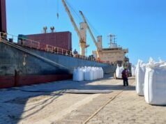 SAN PEDRO : Operatoria portuaria: 8.000 toneladas de porotos parten rumbo a Venezuela.