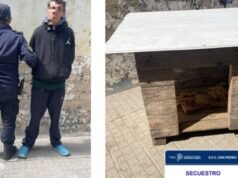 SAN PEDRO : Lo acusó de robarle una cucha para su mascota y terminó a los golpes: un joven fue aprehendido.