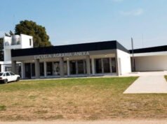 SAN PEDRO : Robaron gallinas y conejos de la Escuela Agraria y piden donaciones para reponerlos.