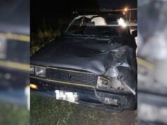 SAN PEDRO : Un auto chocó contra un bovino suelto en Lucio Mansilla: el conductor sufrió lesiones.