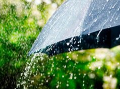 SAN PEDRO : Semana inestable: anticipan lluvias y tormentas para los próximos días.