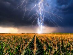 SAN PEDRO : Alerta amarilla por tormentas para este miércoles en San Pedro, San Nicolás y Ramallo.