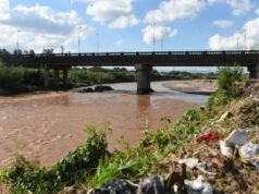 Contaminación fecal alarmante en el río Salí: hasta 2.400 veces más de lo permitido