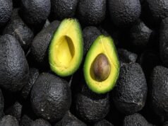 De no creer: un bebé de apenas 12 días murió luego de que una palta cayera sobre su cabeza