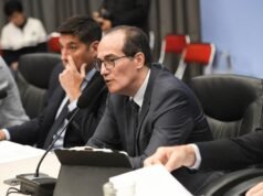 Diputados postergan dictamen sobre ley de biocombustibles por desacuerdos