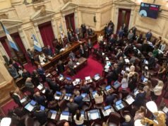 El Senado avanza en la reforma de la Ley de Salud Mental con internaciones involuntarias