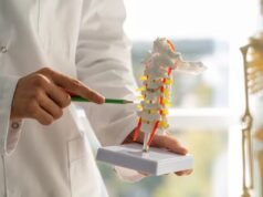 Entrenamiento de fuerza: clave para combatir la osteoporosis