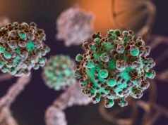 Hantavirus: 112 casos confirmados en la temporada 2025-2026