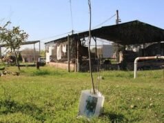 Restos de un joven desaparecido en 1976 fueron identificados en Tucumán